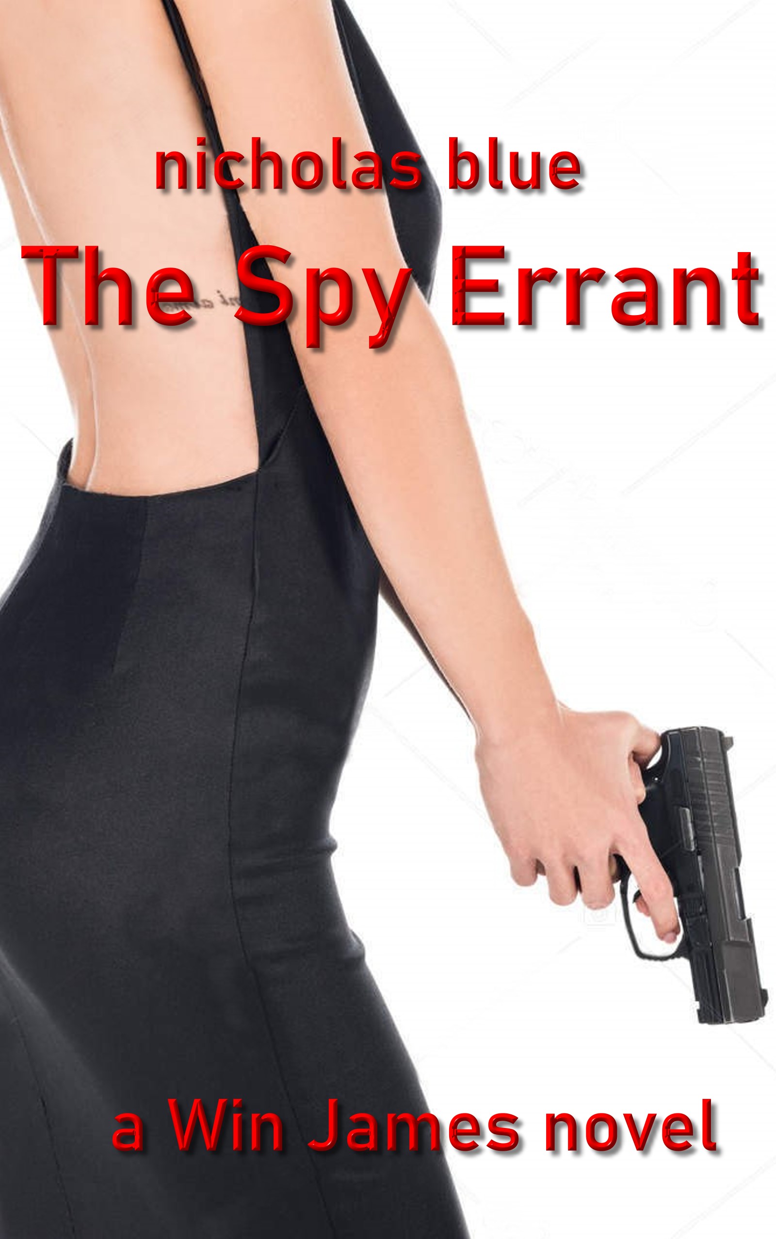 The Spy Errant: a Win James novel