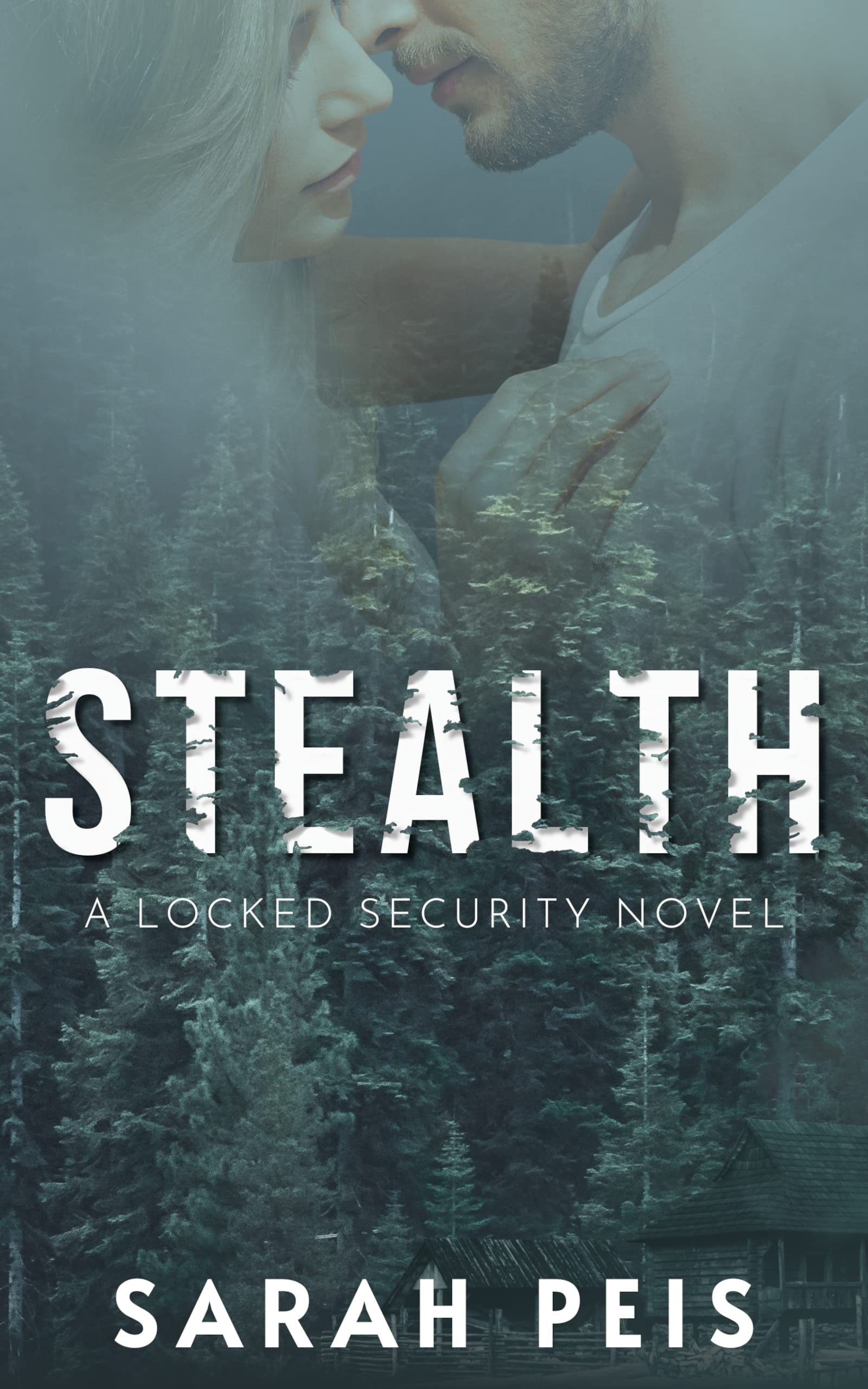 Stealth (Locked Security, #1)