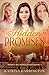 Hidden Promises (Hidden Blessings Book 3)