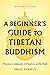 A Beginner's Guide to Tibetan Buddhism: Practice, Community, and Progress on the Path