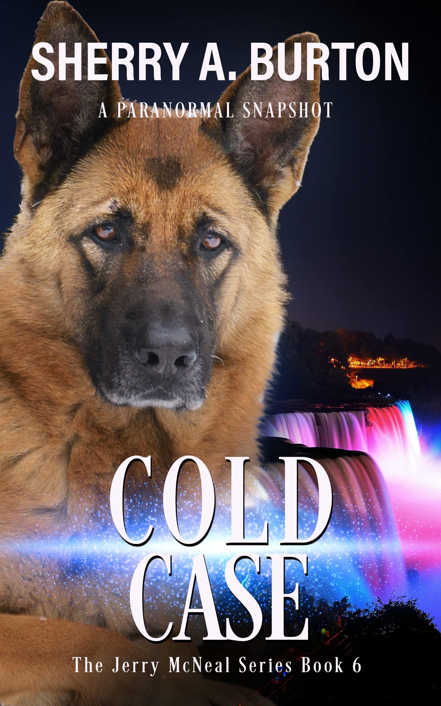 Cold Case (Jerry McNeal, #6)