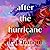 After the Hurricane
