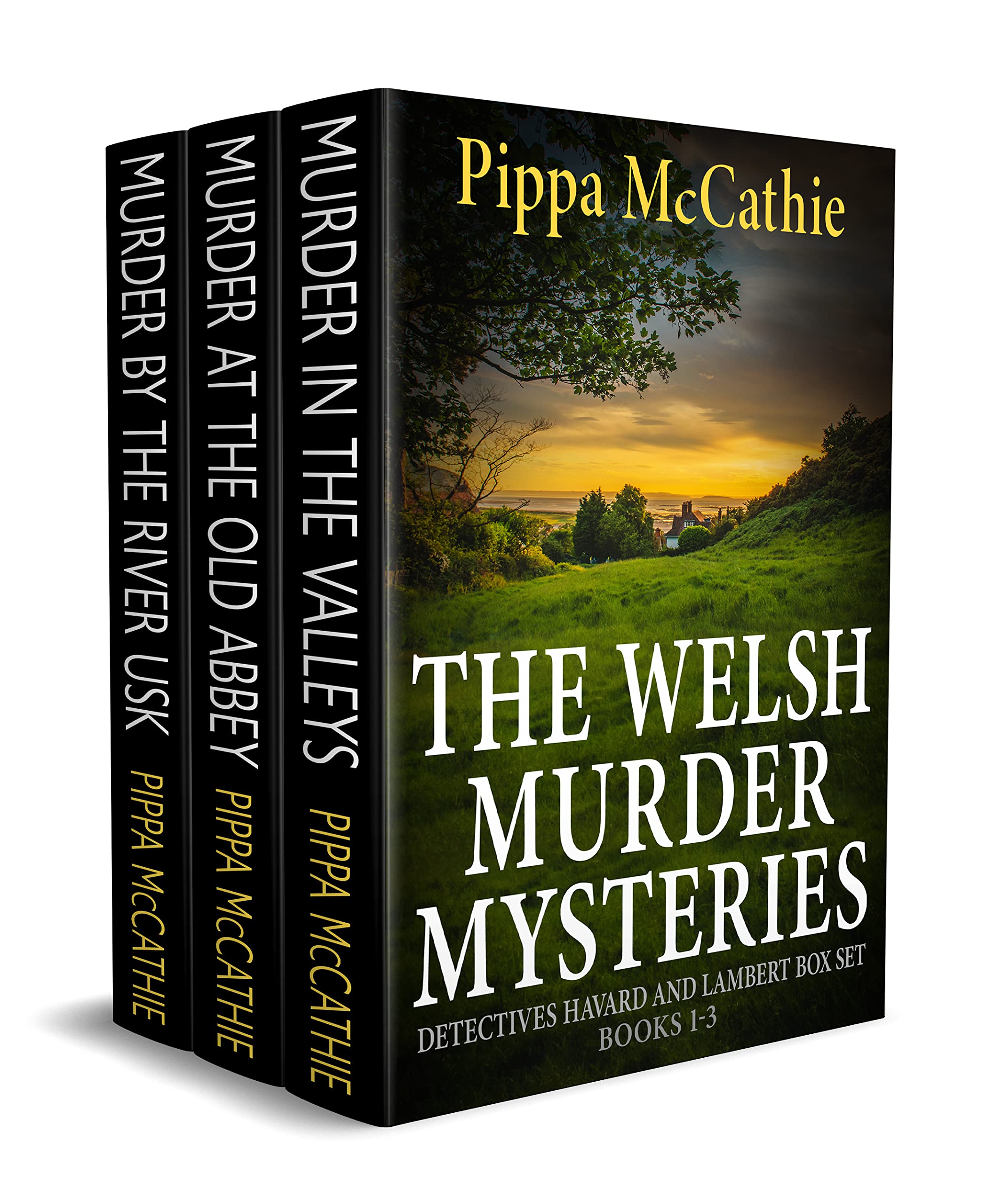 The Welsh Murder Mysteries, Books 1-3 (Havard and Lambert, #1-3)