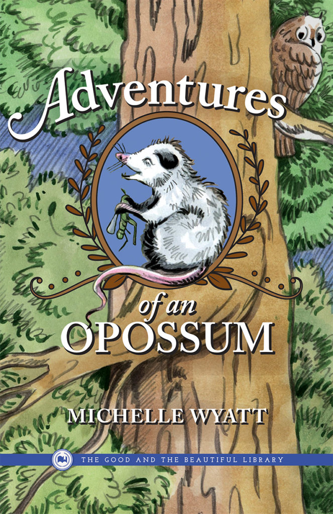 Adventures of an Opossum (Paperback)