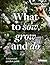What to Sow, Grow and Do by Benjamin Pope