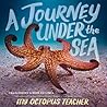 A Journey Under the Sea by Craig Foster