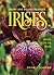 Dwarf and Median Bearded Irises: Jewels of the Iris World