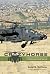 Crazyhorse: Flying Apache A...