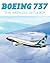 Boeing 737: The World's Jet...