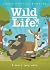 A Berry Long Walk (Wild Life #1)