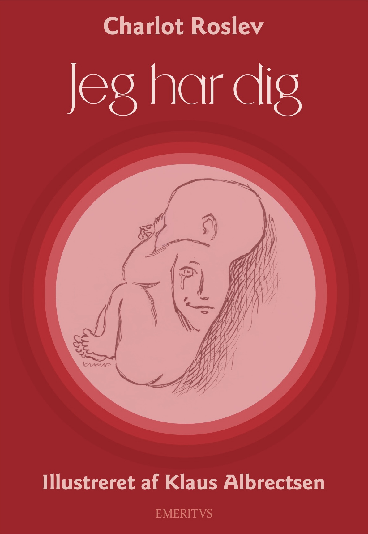Jeg har dig (Paperback)