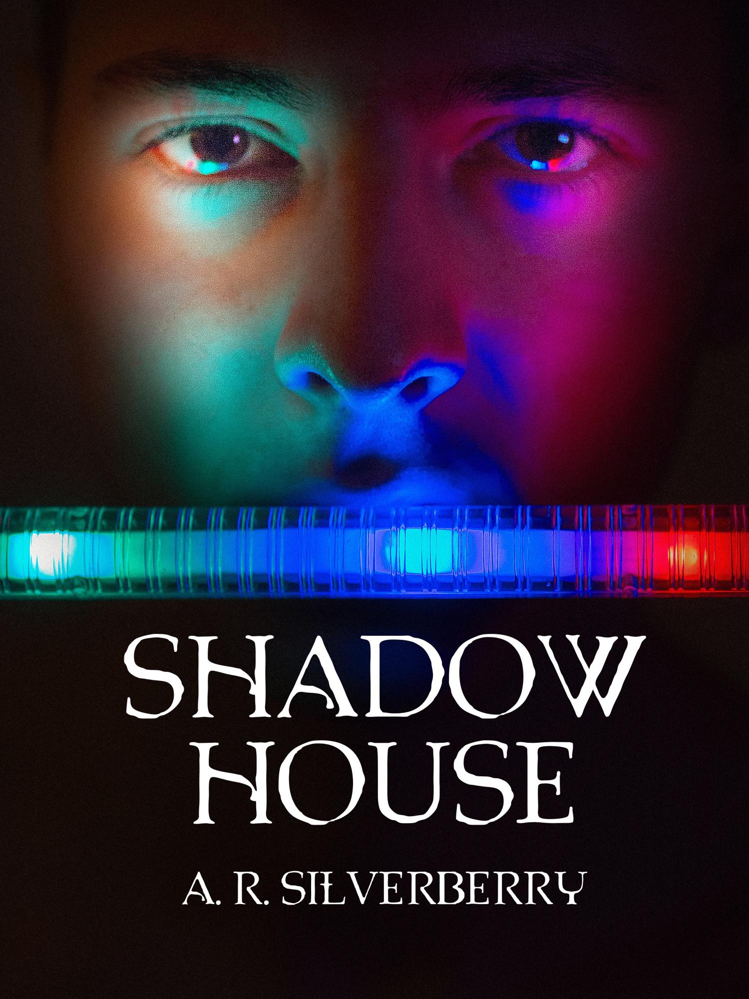 Shadow House (The Shadow House Chronicles #1)