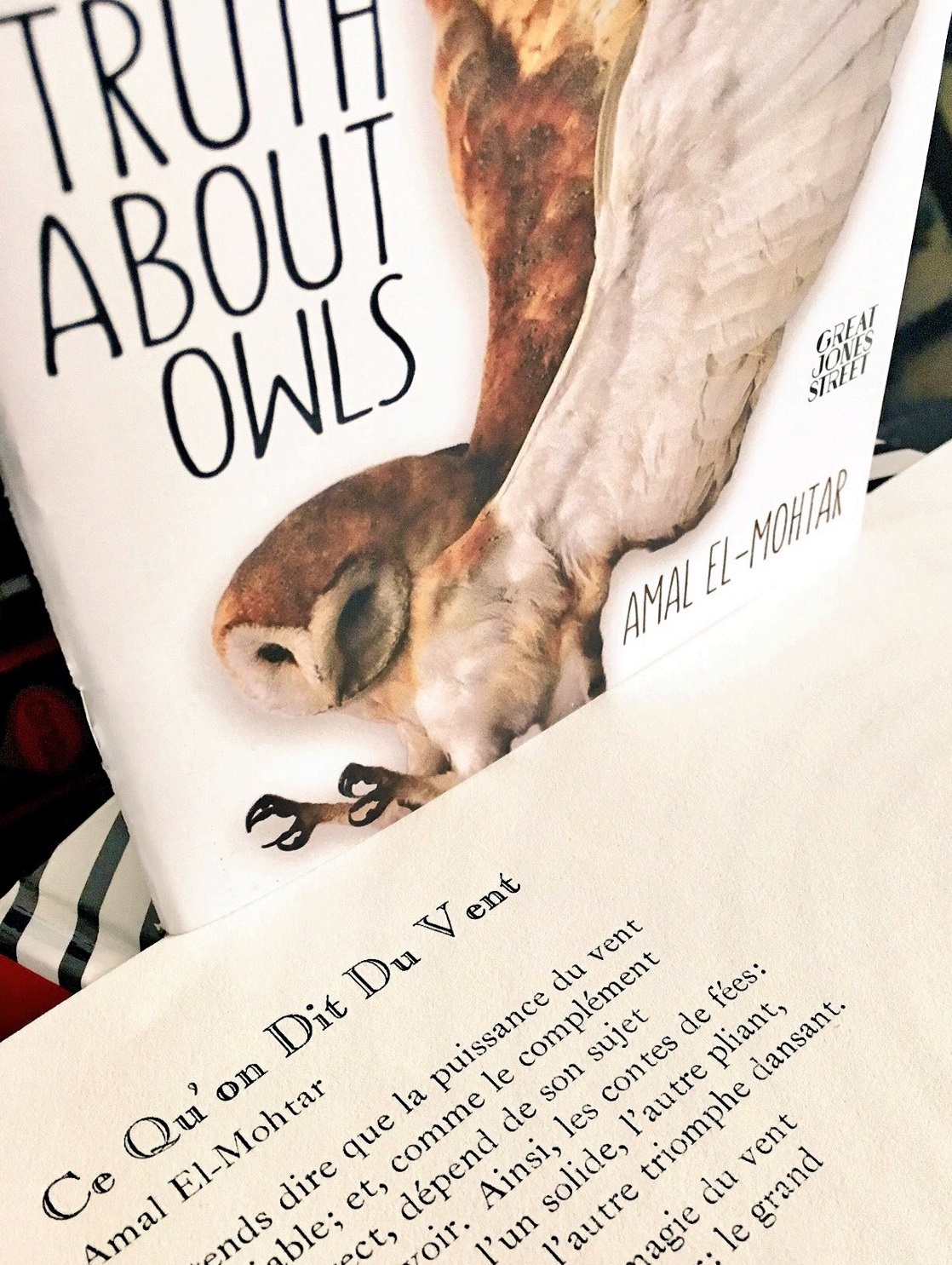 The Truth About Owls (ebook)