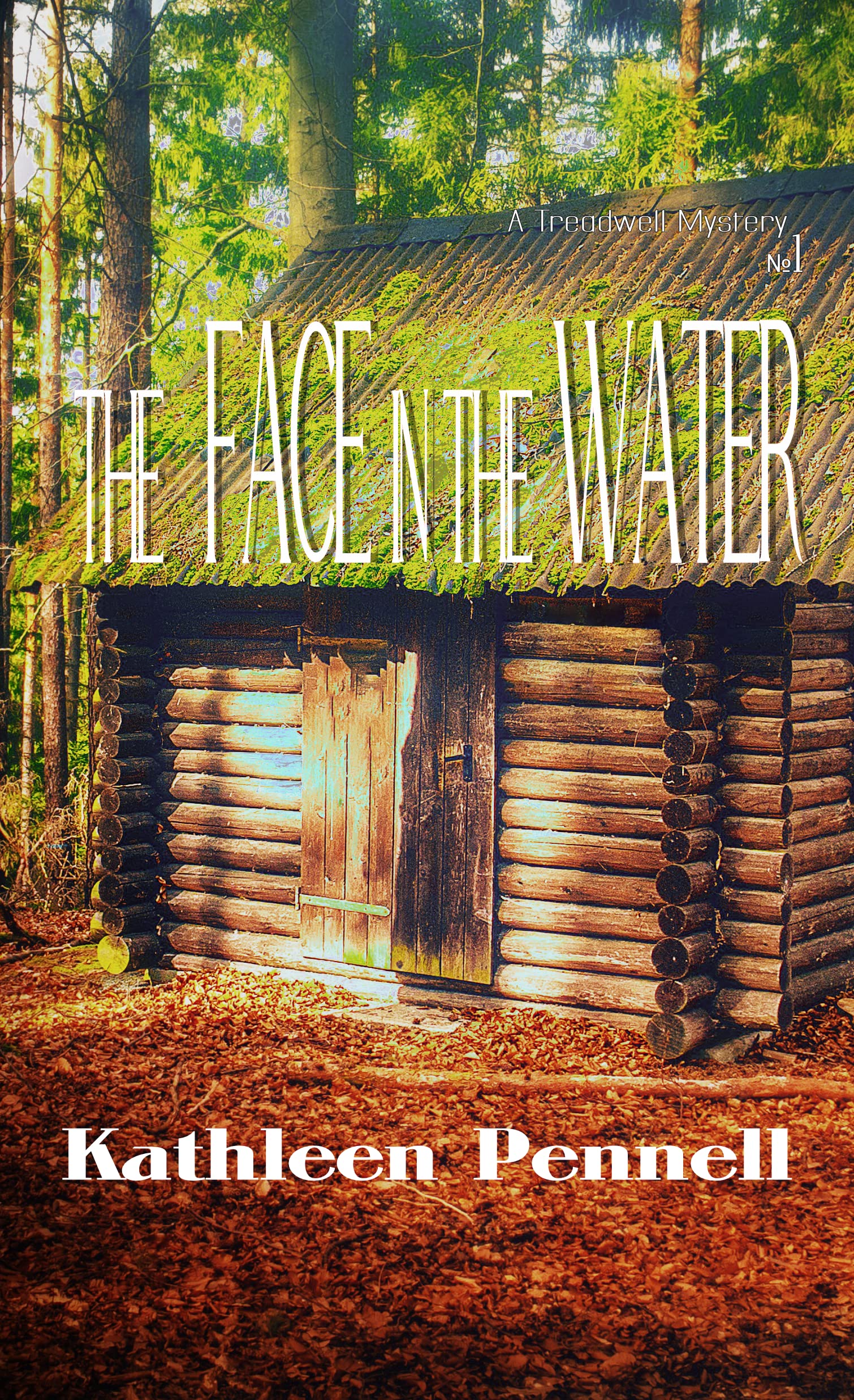 The Face in the Water: A Treadwell Mystery #1 (A Treadwell Mystery Series)