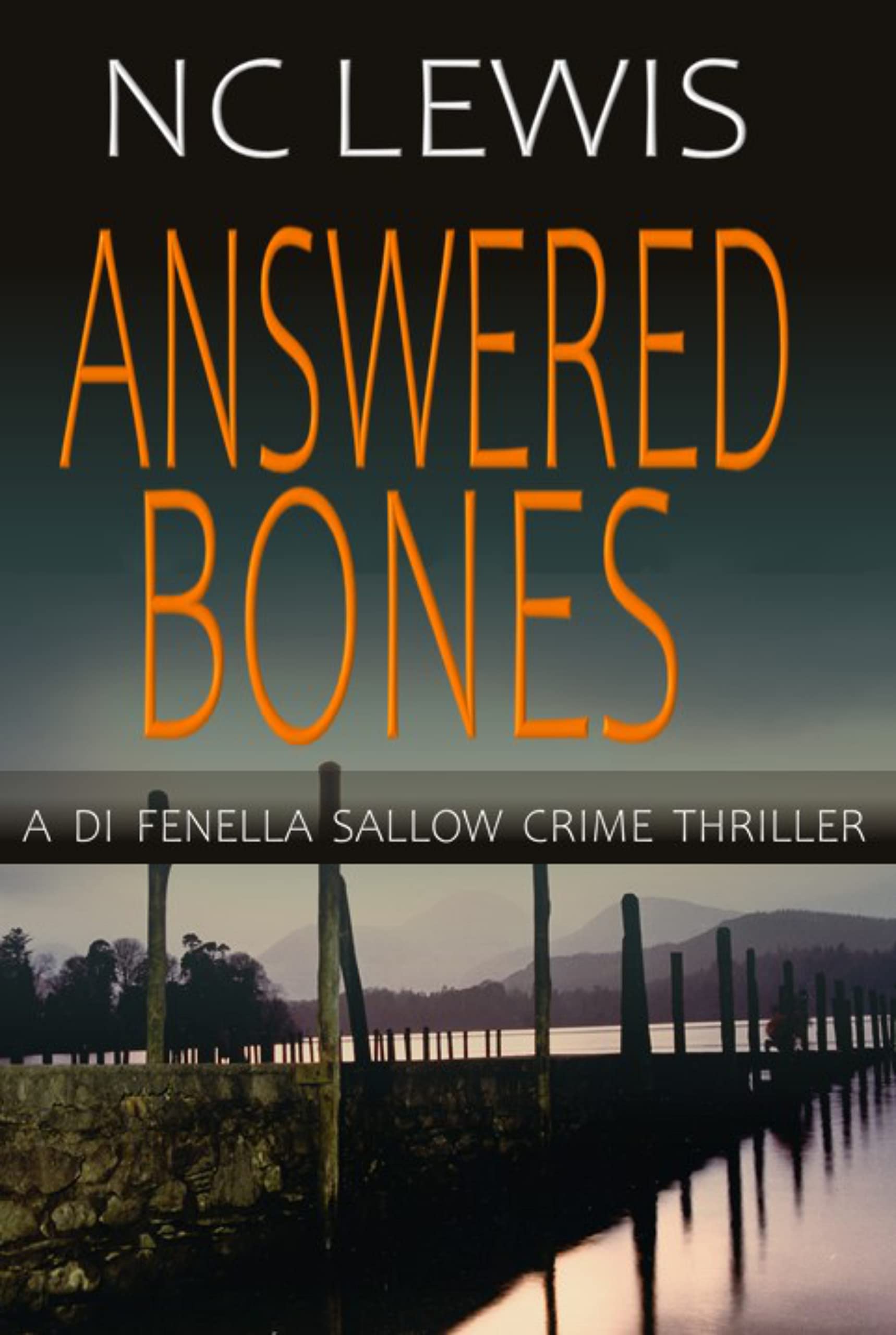 Answered Bones (A DI Fenella Sallow Crime Thriller Book 4)