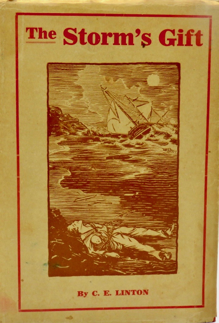 The Storm's Gift (Hardcover)