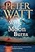 While the Moon Burns (Frontier, #11)
