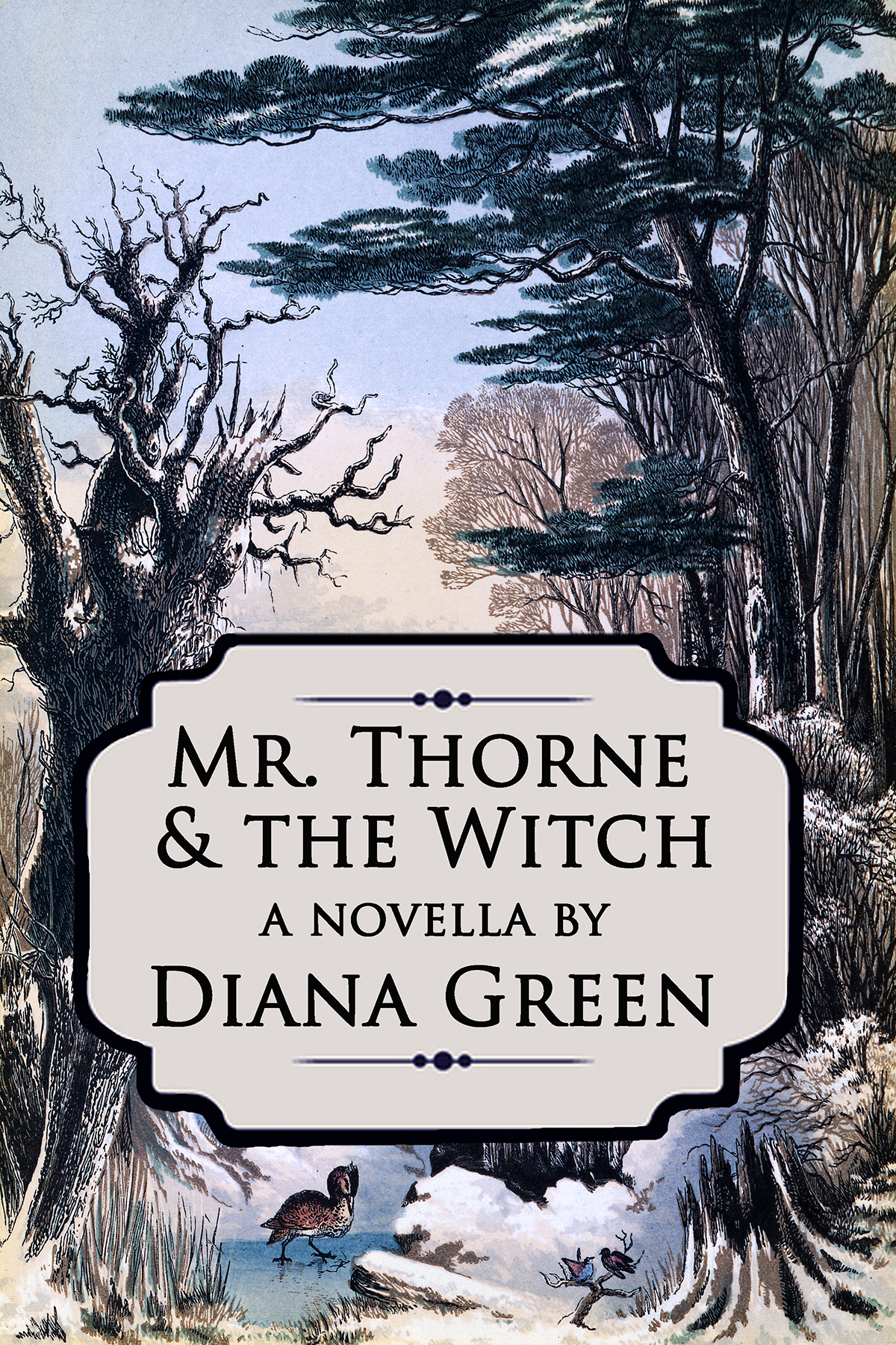 Mr. Thorne & the Witch (Secret Realms)