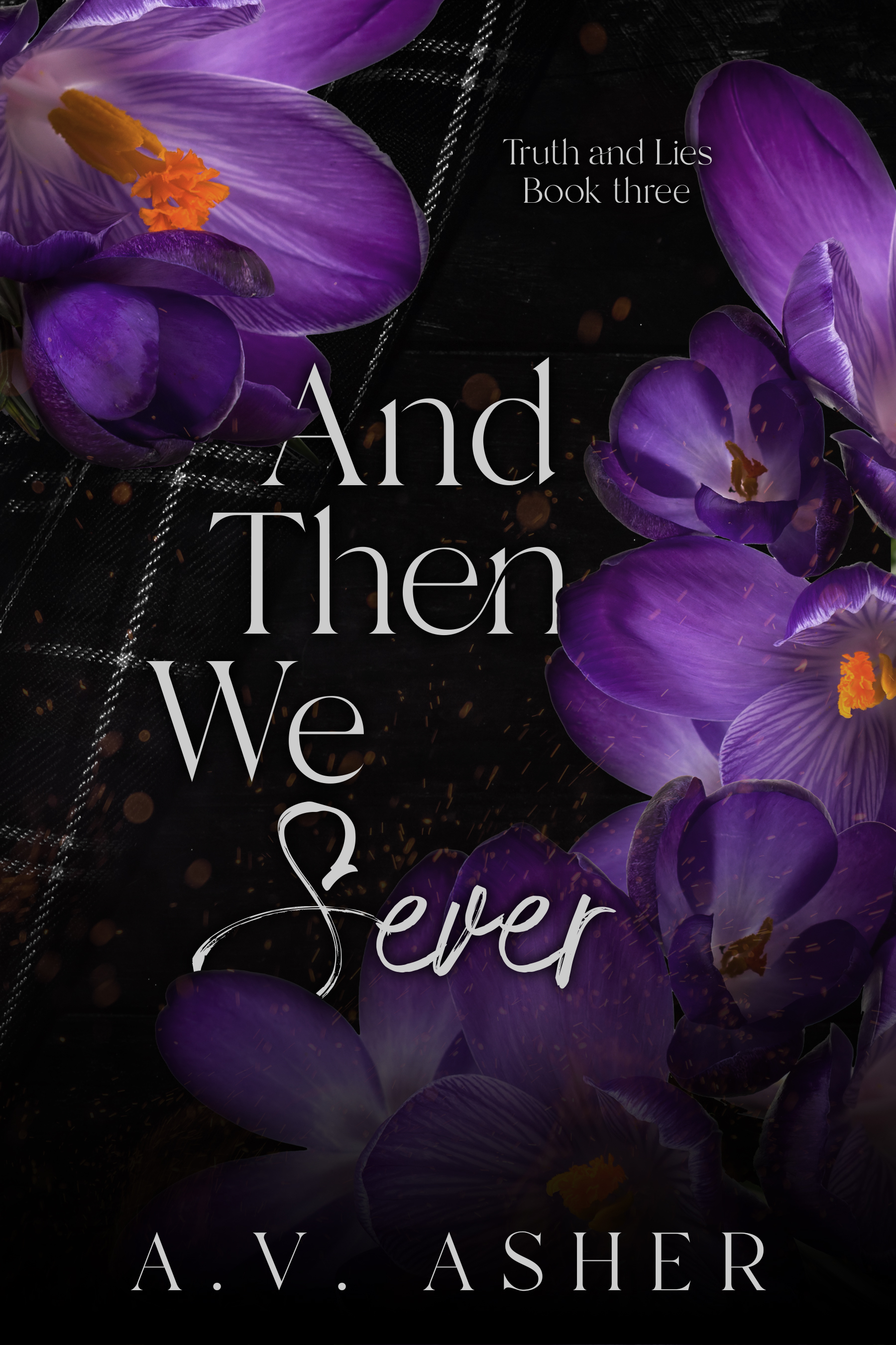 And Then We Sever  (Truth & Lies, #3)