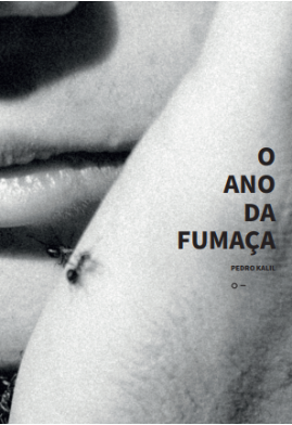 O ano da fumaça
