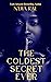 The Coldest Secret Ever Standalone by N'Dia Rae