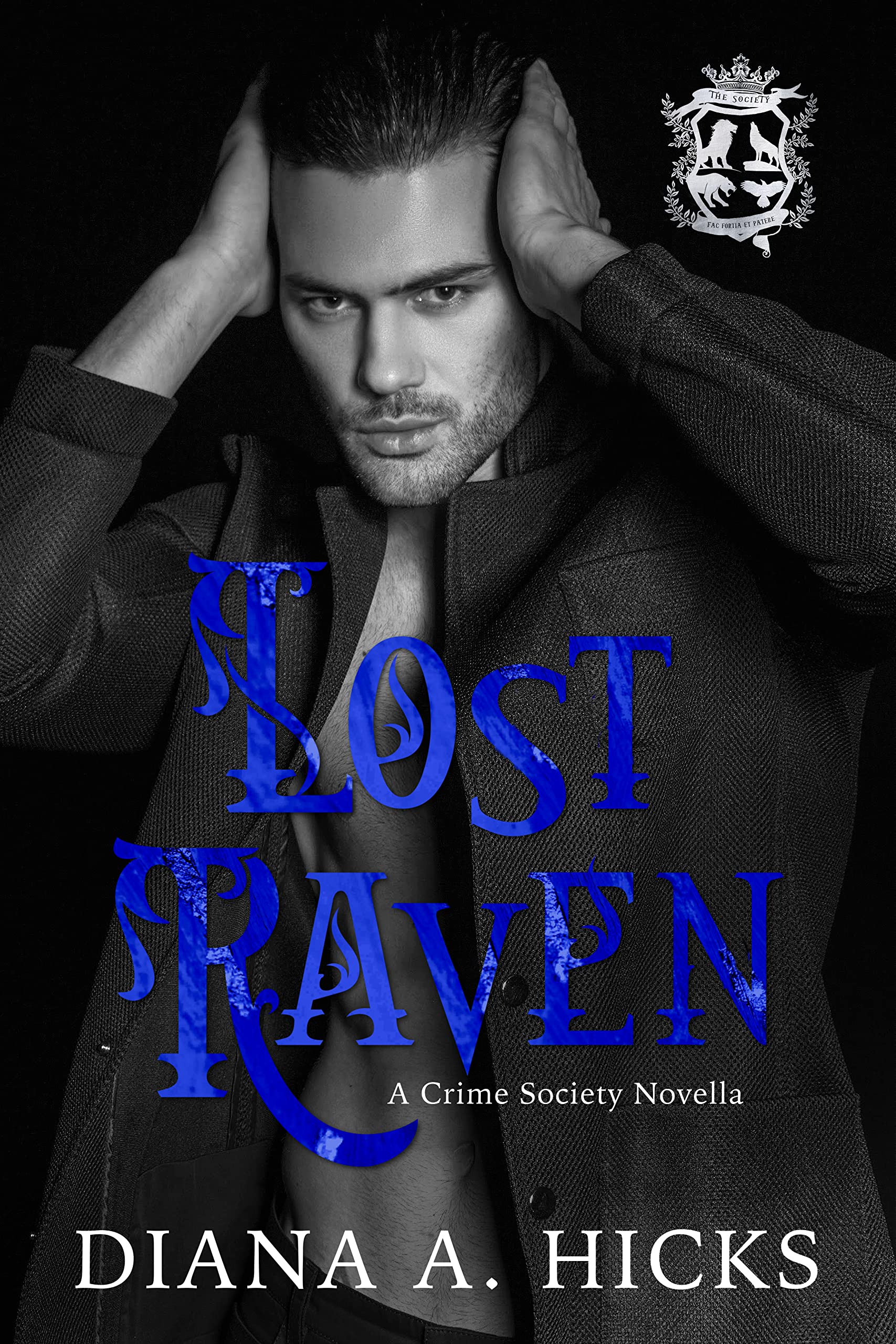 Lost Raven (Beast Duet)