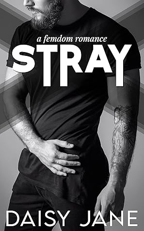 Stray (Men of Paradise, #2)