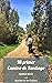 Mi primer Camino de Santiago: Easy short novel to improve your Spanish and prepare for the Camino (Spanish Edition)