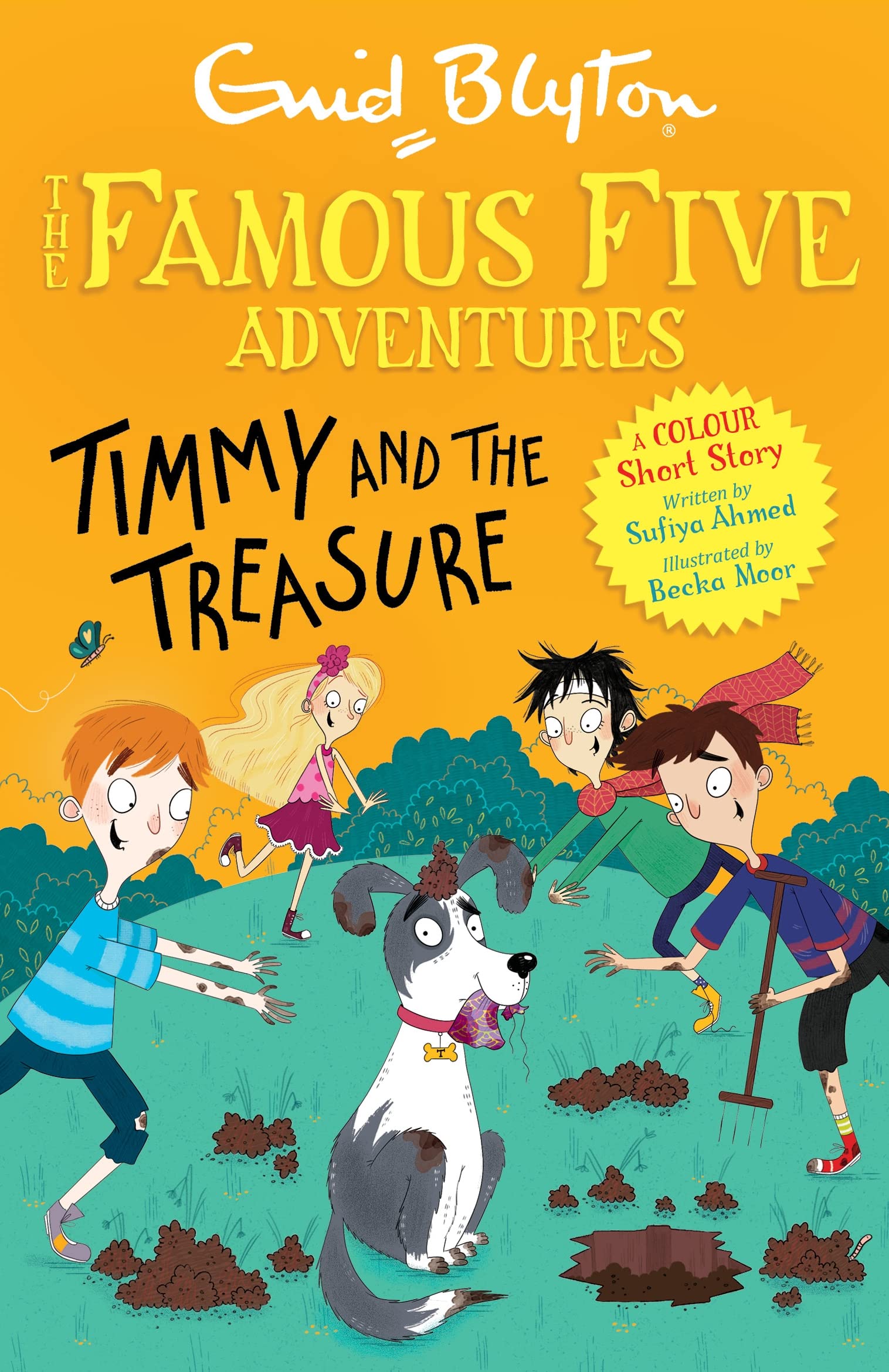 Famous Five Colour Short Stories: Timmy and the Treasure (Famous Five: Short Stories)