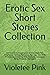 Erotic Sex Short Stories Co...