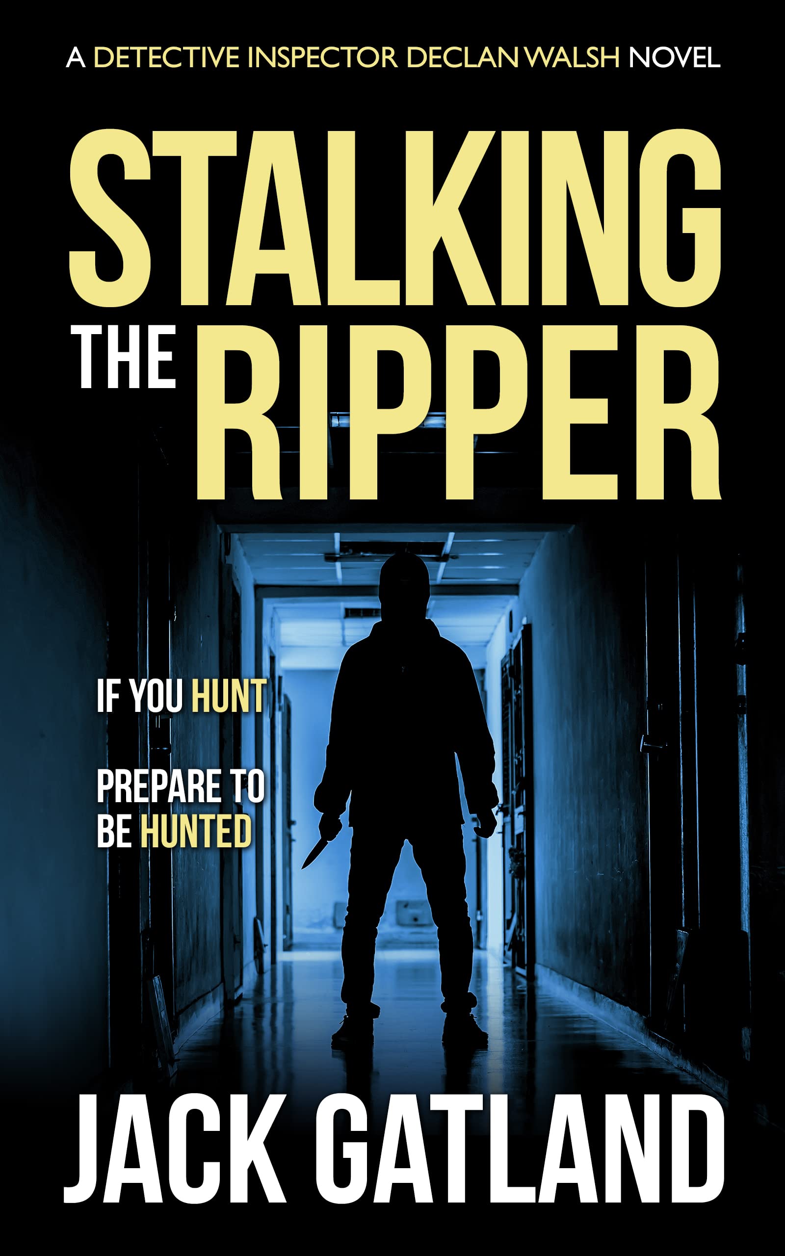 Stalking the Ripper (Detective Inspector Declan Walsh, #11)