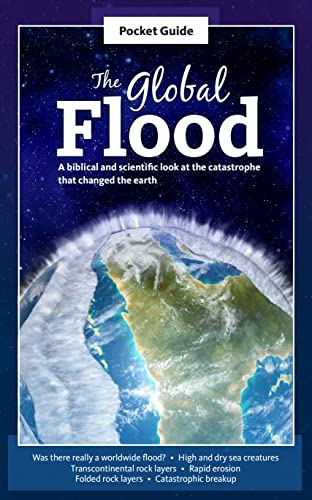The Global Flood Pocket Guide 2021 (Paperback)