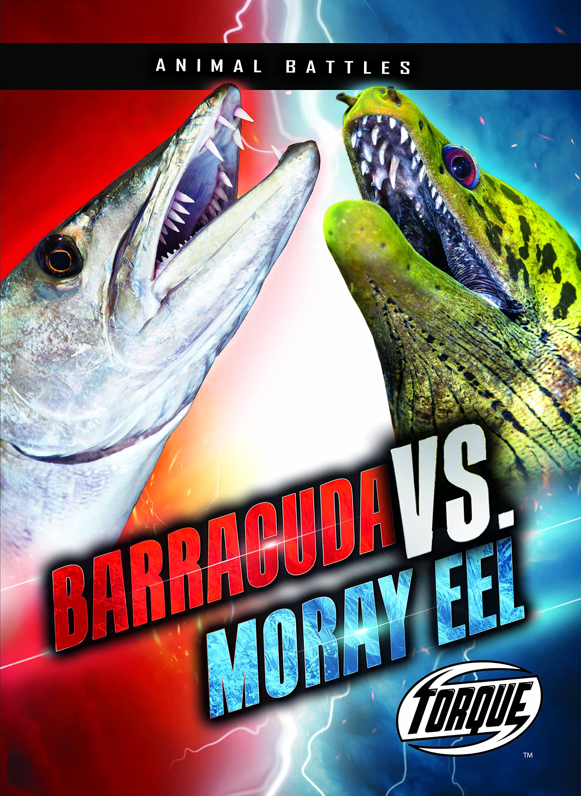 Barracuda vs. Moray Eel (Animal Battles)
