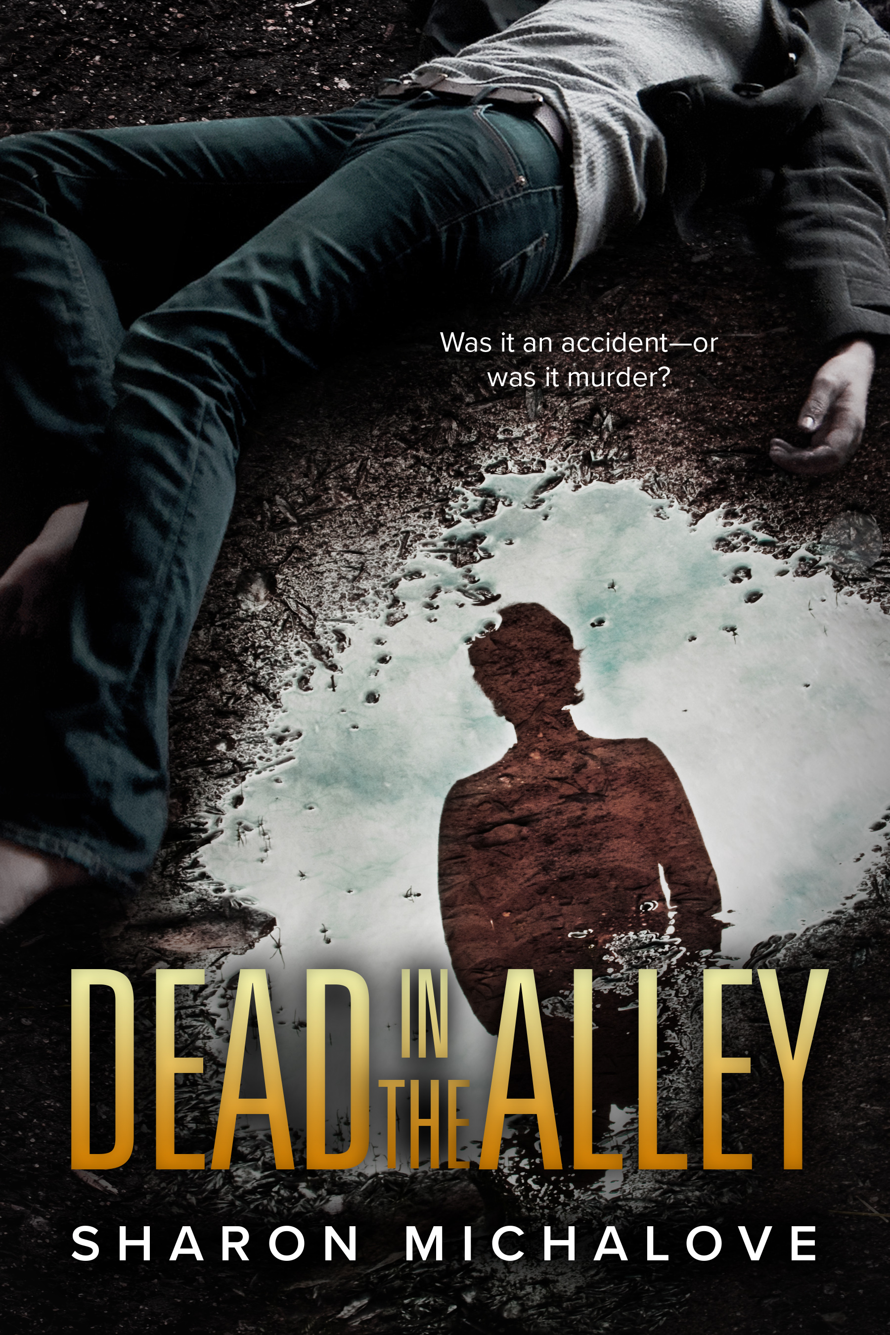 Dead in the Alley (Kindle Edition)