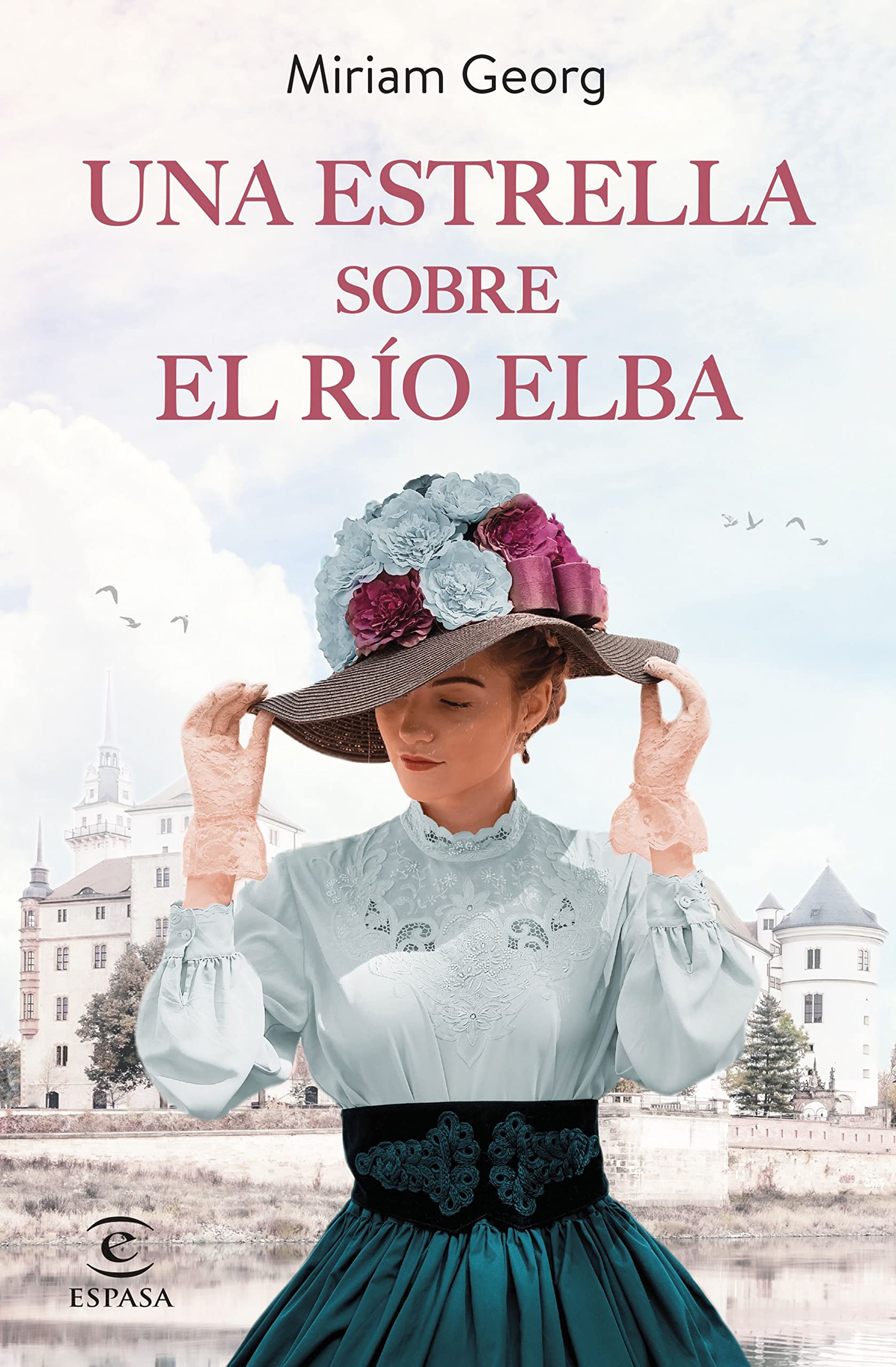 Una estrella sobre el río Elba (Eine hanseatische Familiensaga 1)