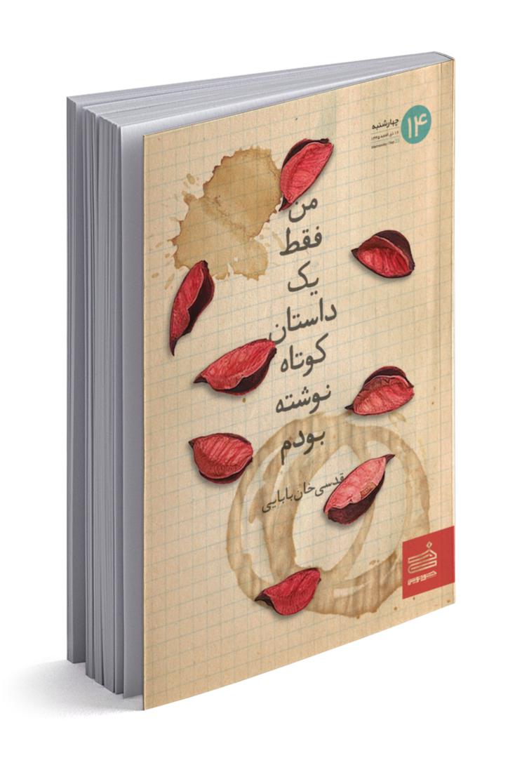 من فقط یک داستان کوتاه نوشته بودم (Paperback)