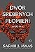 Dwór srebrnych płomieni (Dwór cierni i róż, #4)