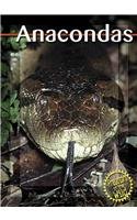 Anacondas (Predators in the Wild)