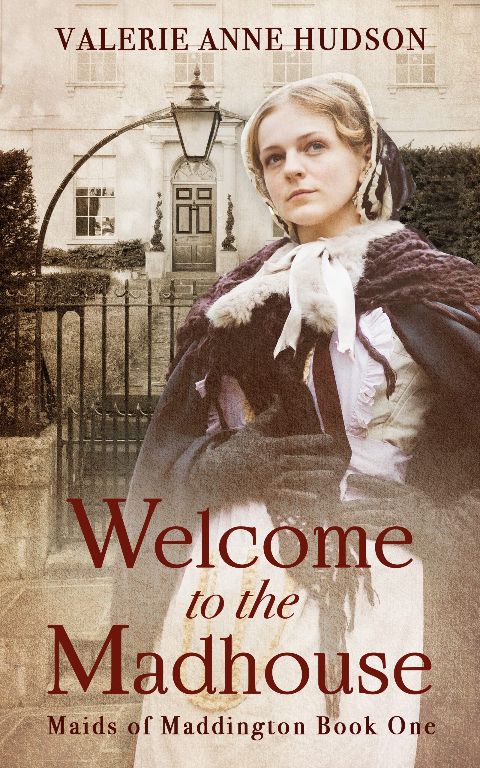 Welcome to the Madhouse (Maids of Maddington #1)
