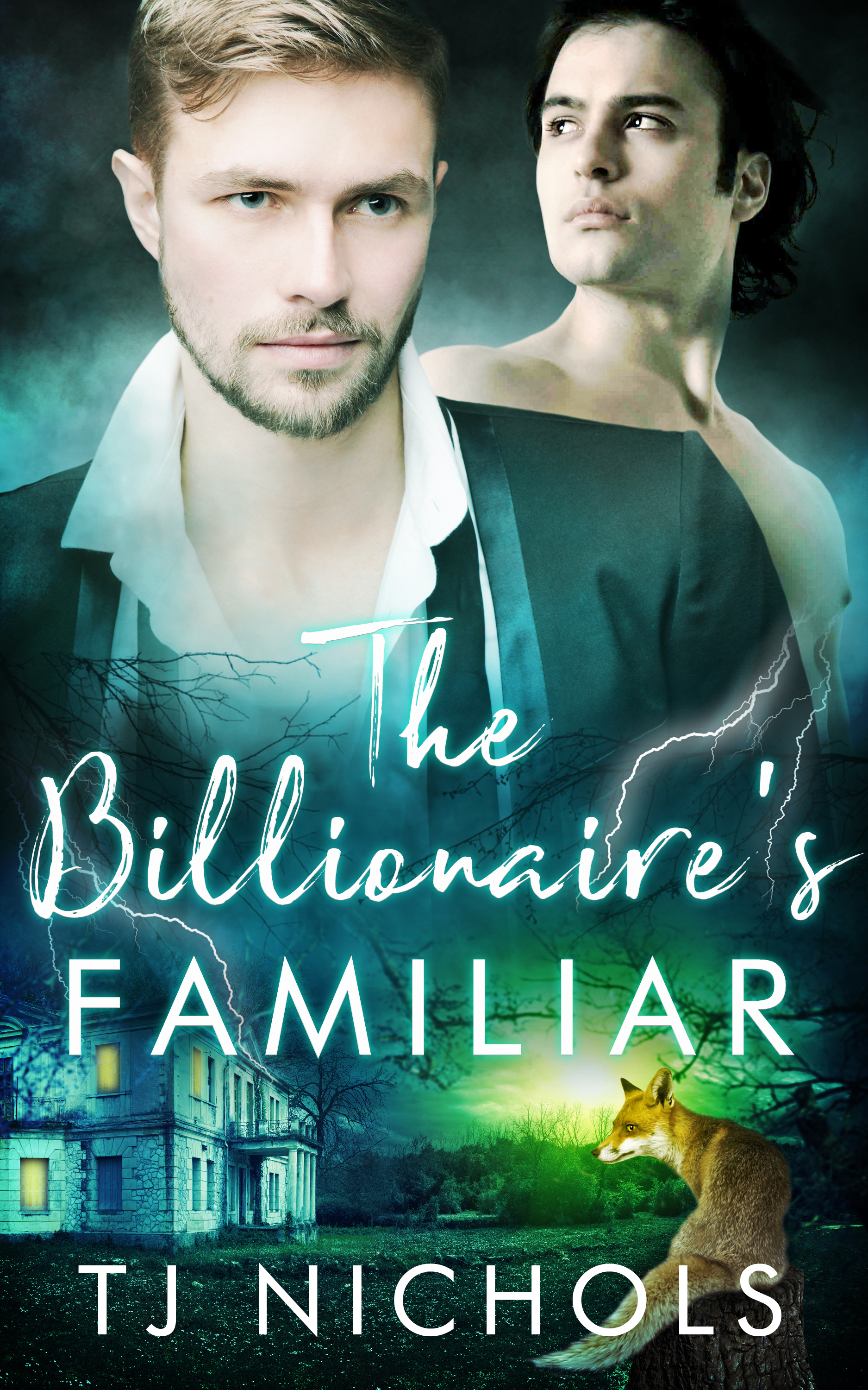 The Billionaire's Familiar (Familiar Mates, #8)