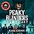 Peaky Blinders: The Legacy