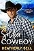 Soldier Cowboy (Men of Ston...