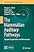 The Mammalian Auditory Path...