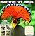 Discovering Rare Animals wi...