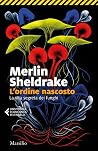 L'ordine nascosto...