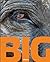 Big: A Photographic Album o...