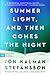 Summer Light, and Then Comes the Night: A Novel