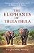 The Elephants of Thula Thula