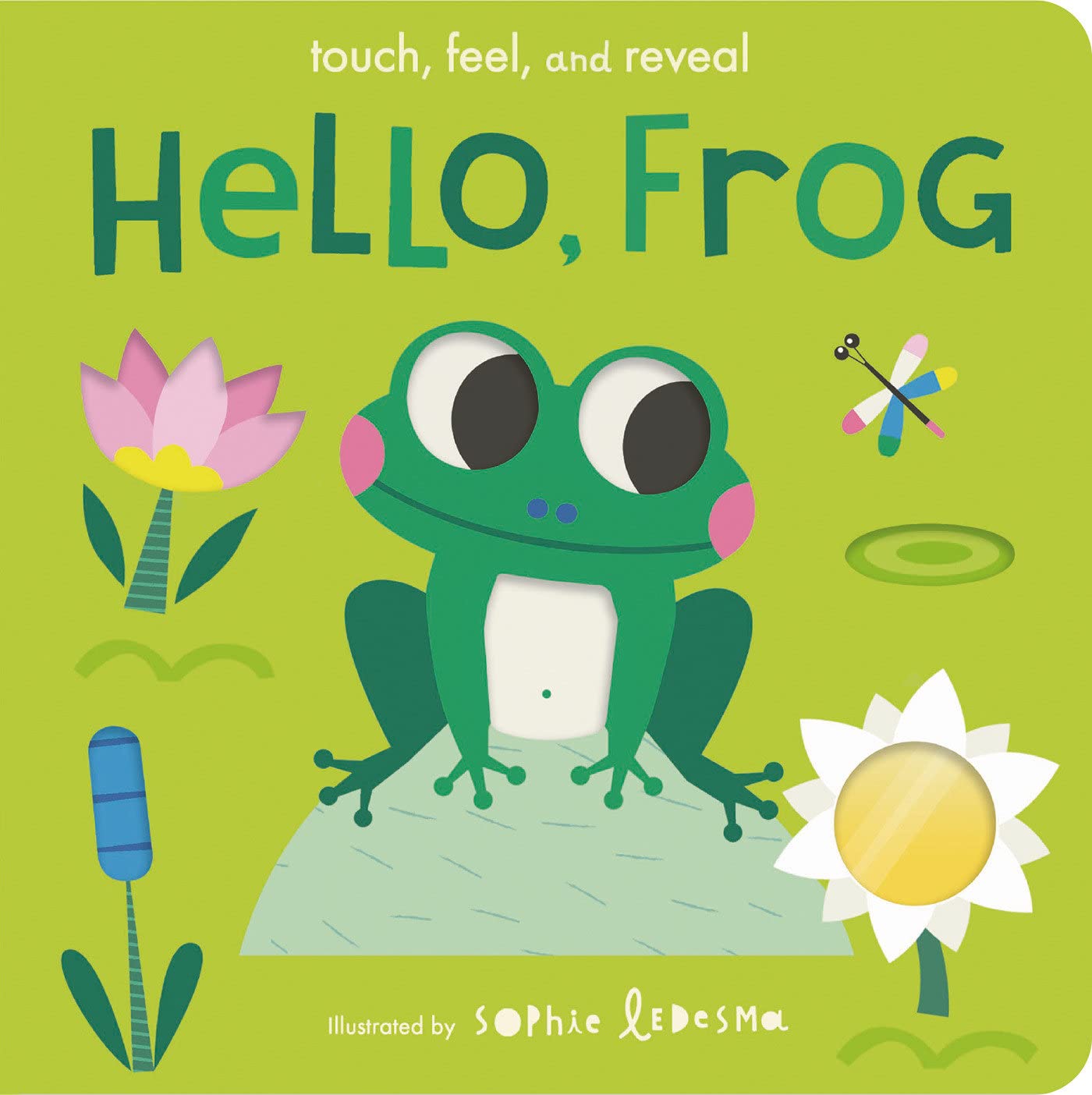 Hello, Frog: Touch, Feel, and Reveal (Board book)