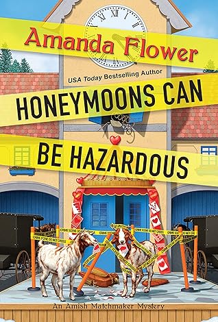 Honeymoons Can Be Hazardous (An Amish Matchmaker Mystery, #4)
